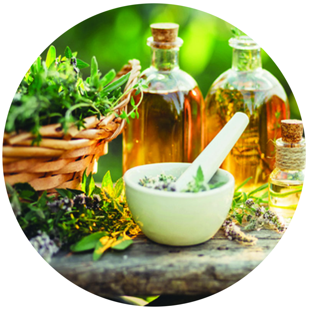 Naturopathy – GaiaRose Naturopathic